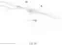 Fig. 24 - LAWN MOWER