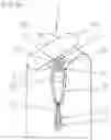 Fig. 18 - Method and device for stripping leaves and or flowers from a stalk