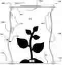 Fig. 01 - LIGHT DIFFUSING REFLECTIVE CURTAIN FOR AGRICULTURAL ENVIRONMENT