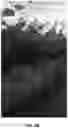 Fig. 13 - TRELLIS PANELS FOR SUNLIGHT DELIVERY, SHOOT POSITIONING, AND CANOPY DIVISION