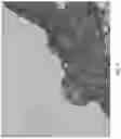 Fig. 08 - METHODS AND COMPOSITIONS FOR RAPID PLANT TRANSFORMATION