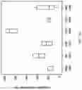 Fig. 17 - METHODS AND COMPOSITIONS FOR RAPID PLANT TRANSFORMATION