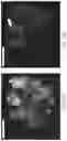 Fig. 18 - METHODS AND COMPOSITIONS FOR RAPID PLANT TRANSFORMATION
