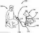 Fig. 01 - Pet Management System