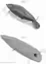 Fig. 02 - Interchangeable Illuminated Fishing Lure