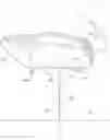 Fig. 01 - FULL BODY AND FLOATING DUCK DECOY WITH NOVEL STAKE SYSTEM