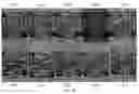 Fig. 30 - HERBICIDAL COMPOSITIONS AND METHODS