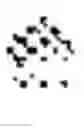 Fig. 03 - Templated antimicrobial microgels and methods of making and using the same