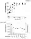 Fig. 12 - Templated antimicrobial microgels and methods of making and using the same
