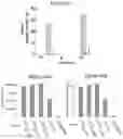 Fig. 14 - Templated antimicrobial microgels and methods of making and using the same