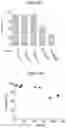 Fig. 15 - Templated antimicrobial microgels and methods of making and using the same
