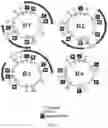 Fig. 03 - ANTI-MICROBIAL PEPTIDES AND METHOD FOR DESIGNING NOVEL ANTI-MICROBIAL PEPTIDES