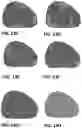 Fig. 19 - MEAT ANALOGUES AND METHODS OF PRODUCING THE SAME