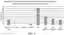 Fig. 03 - TREATMENT AND CONTROL OF COLONY COLLAPSE DISORDER