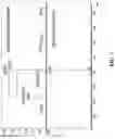 Fig. 08 - Methods of modulating gastrointestinal metabolites