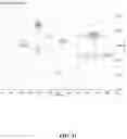 Fig. 12 - Methods of modulating gastrointestinal metabolites