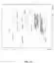 Fig. 13 - Methods of modulating gastrointestinal metabolites