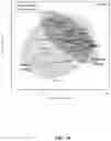 Fig. 19 - Methods of modulating gastrointestinal metabolites