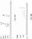Fig. 29 - Methods of modulating gastrointestinal metabolites