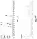 Fig. 30 - Methods of modulating gastrointestinal metabolites