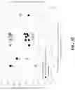 Fig. 33 - Methods of modulating gastrointestinal metabolites