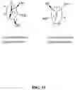 Fig. 34 - Methods of modulating gastrointestinal metabolites