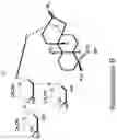 Fig. 03 - composition