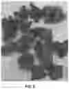 Fig. 05 - FRIED SNACK CHIPS AND METHODS OF FORMING THEM