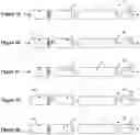 Fig. 02 - Smoking article comprising an isolated combustible heat source