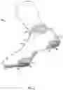 Fig. 03 - Socks having targeted cushioning zones