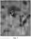 Fig. 07 - CLOSURES