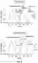 Fig. 05 - VARIABLE MATERIAL PROPERTIES FOOT COVERING