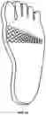 Fig. 21 - VARIABLE MATERIAL PROPERTIES FOOT COVERING