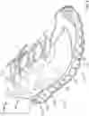 Fig. 06 - Sole with projections and article of footwear