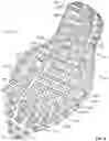 Fig. 10 - Sole with projections and article of footwear