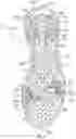 Fig. 07 - SOLE STRUCTURE HAVING AN OUTSOLE WITH INTEGRATED TRACTION ELEMENTS