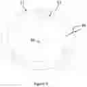Fig. 05 - Jewelry with non-precious metallic core and process for producing