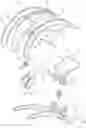 Fig. 01 - Hair clip