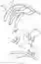 Fig. 03 - Hair clip