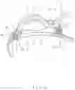 Fig. 05 - Hair clip
