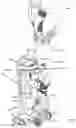 Fig. 43 - SURFACE CLEANING APPARATUS