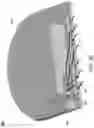 Fig. 10 - INTELLIGENT VACUUM DEVICE WITH EXTENDABLE AND DEFORMABLE SUCTION ARM