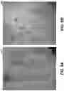 Fig. 09 - APPARATUSES AND METHODS INVOLVING MULTI-MODAL IMAGING OF A SAMPLE