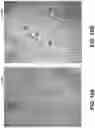 Fig. 11 - APPARATUSES AND METHODS INVOLVING MULTI-MODAL IMAGING OF A SAMPLE