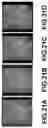 Fig. 23 - APPARATUSES AND METHODS INVOLVING MULTI-MODAL IMAGING OF A SAMPLE