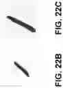Fig. 25 - APPARATUSES AND METHODS INVOLVING MULTI-MODAL IMAGING OF A SAMPLE