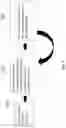 Fig. 10 - SYSTEMS, DEVICES AND METHODS FOR ADVANCING MEDICAL INSTRUMENTS THROUGH A WORKING CHANNEL