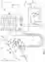 Fig. 02 - Lavage and Cleansing System and Method