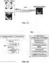Fig. 18 - Vision testing via prediction-based setting of initial stimuli characteristics for user interface locations