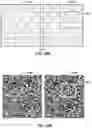 Fig. 32 - Vision testing via prediction-based setting of initial stimuli characteristics for user interface locations
